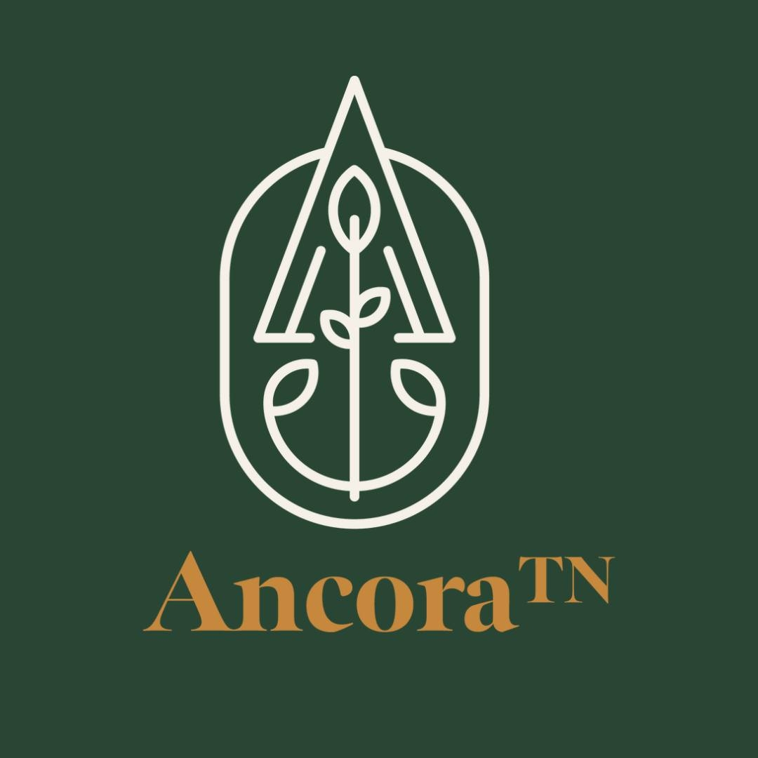 AncoraTN